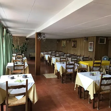 Amico Fritz Livorno