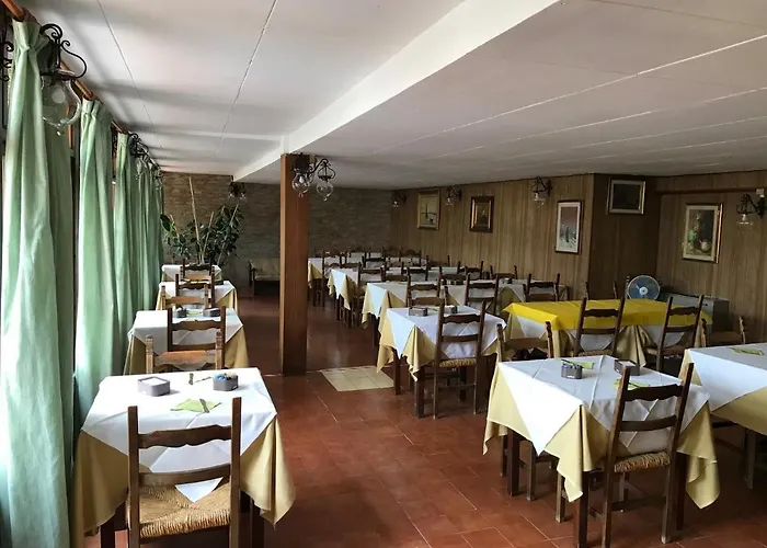 Amico Fritz 利沃诺