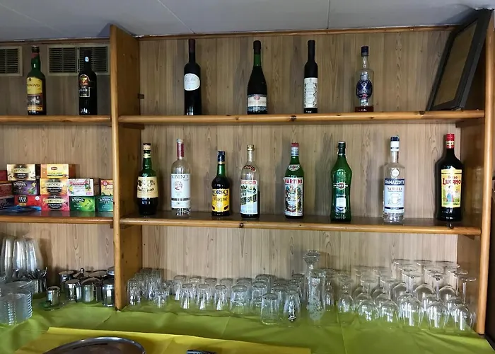 酒店 Amico Fritz 3*